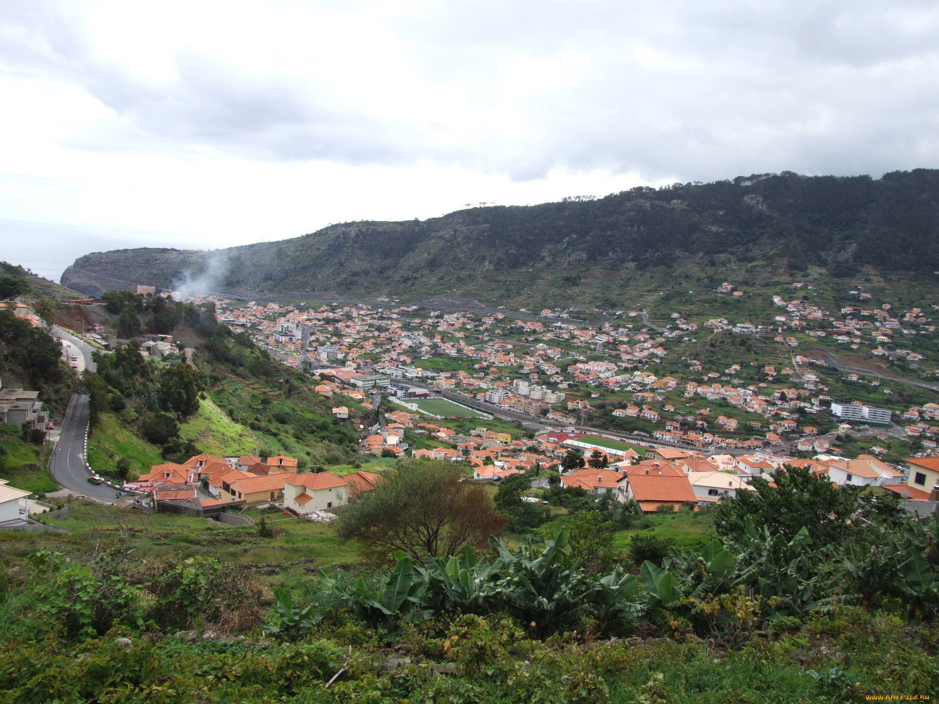 , madeira, , , 